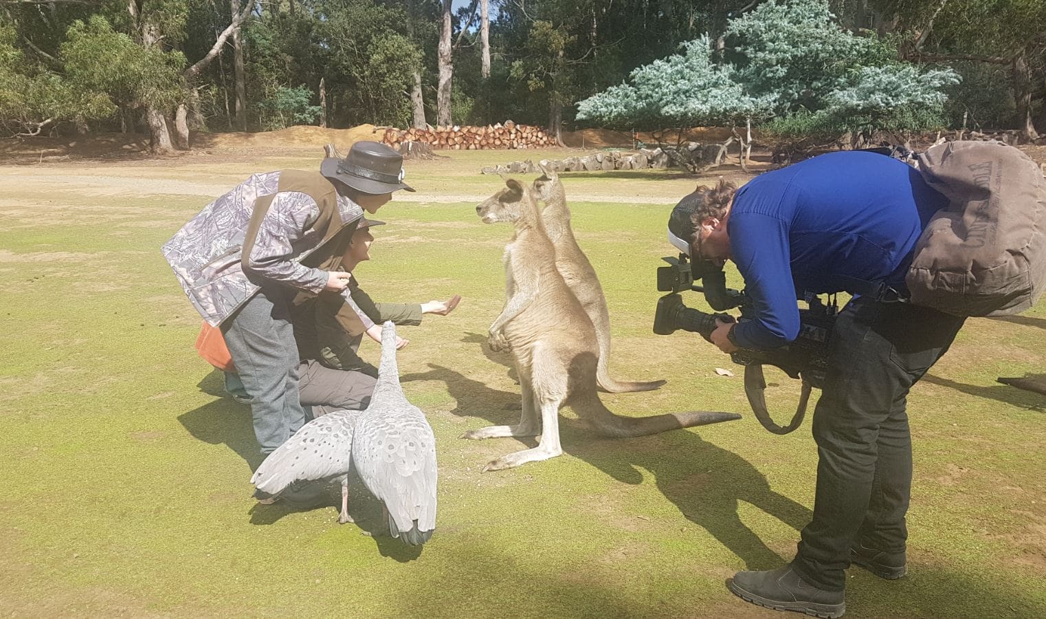Family undertaking once-in-a-lifetime educational camping adventure around Tasmania